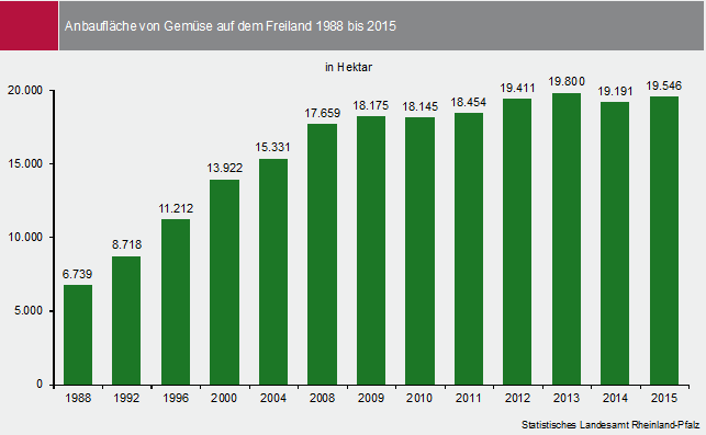 Abbildung: Anbaufläche von Gemüse auf dem Freiland 1988 bis 2015
