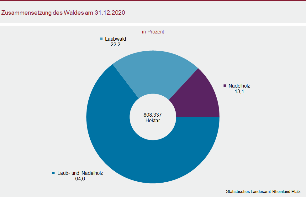 Ringdiagramm: Zusammensetzung des Waldes am 31.12.2020