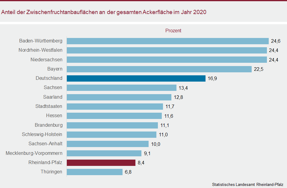 Balkendiagramm: Anteil der Zwischenfruchtanbauflächen an der gesamten Ackerfläche im Jahr 2020